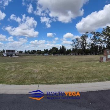 1773249885.jpg