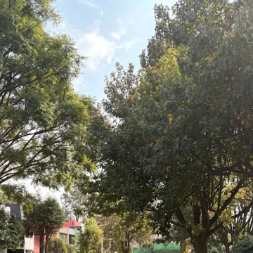Casa en venta en Santa Úrsula Xitla 2 Recámaras