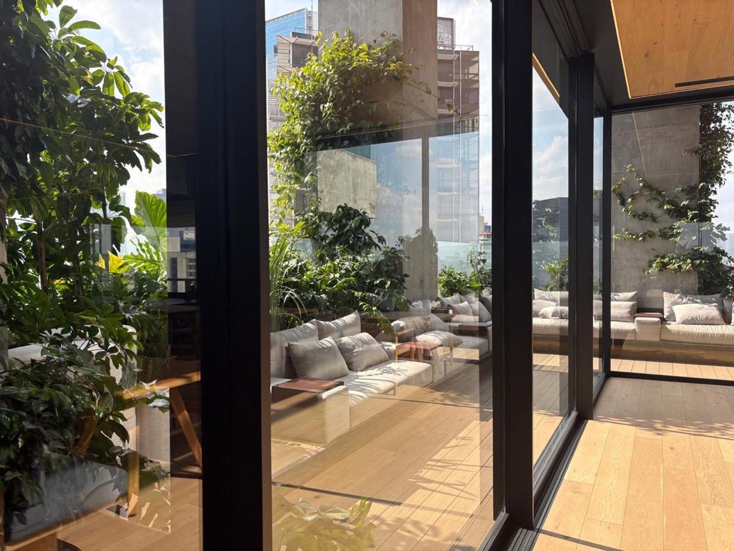 terraza.JPG
