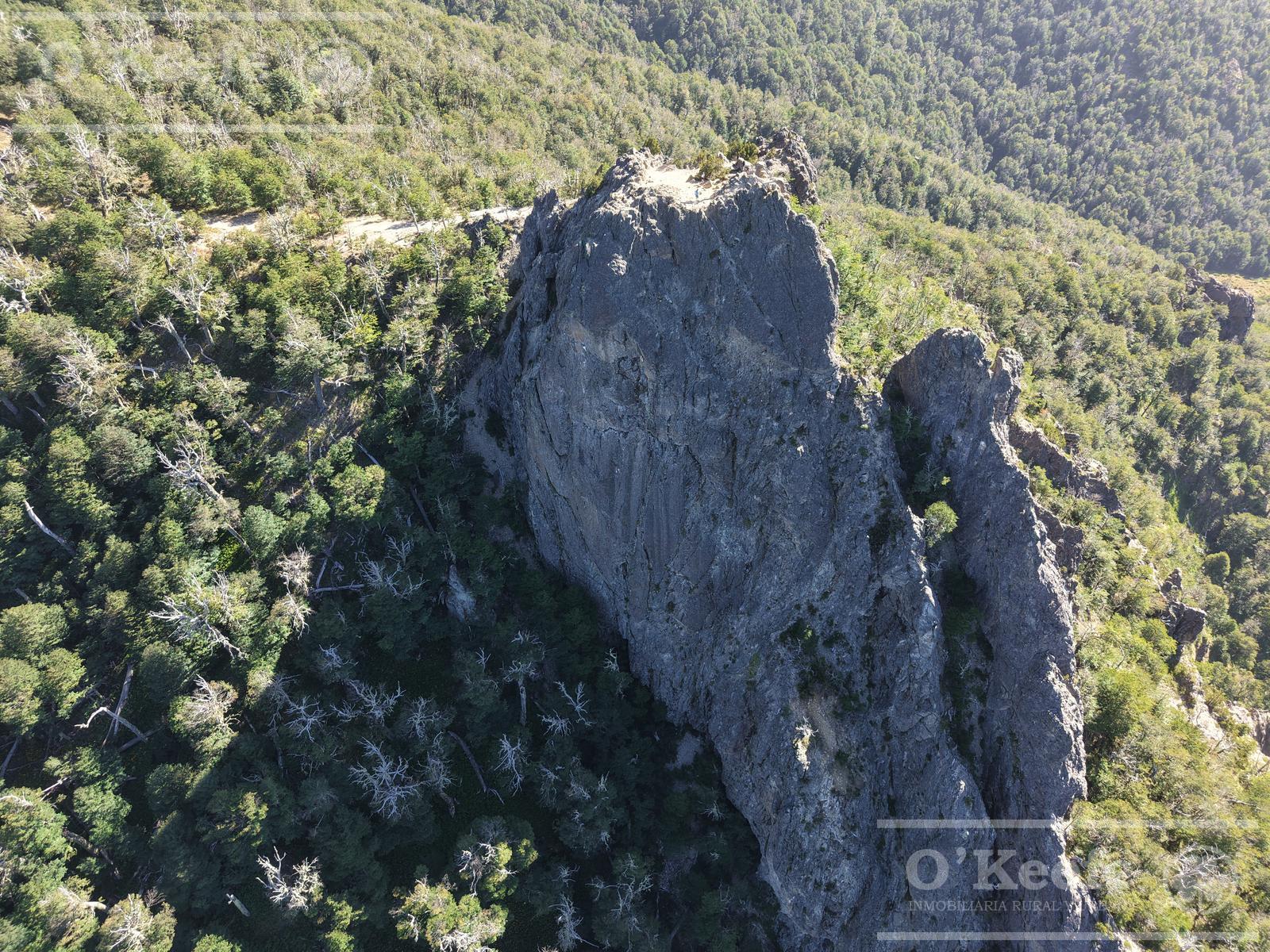 image 33