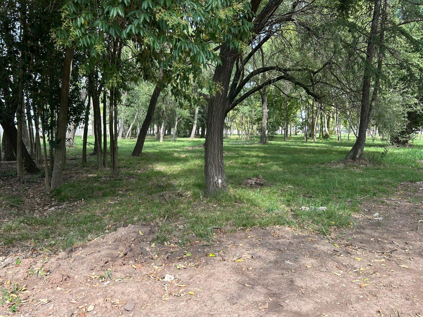 image 21