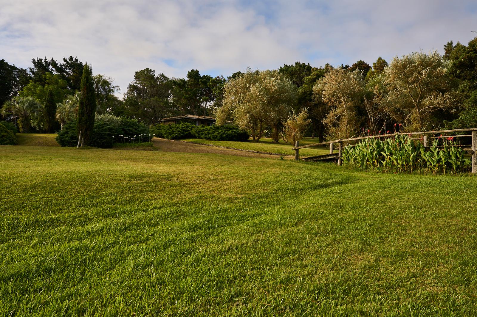 image 38