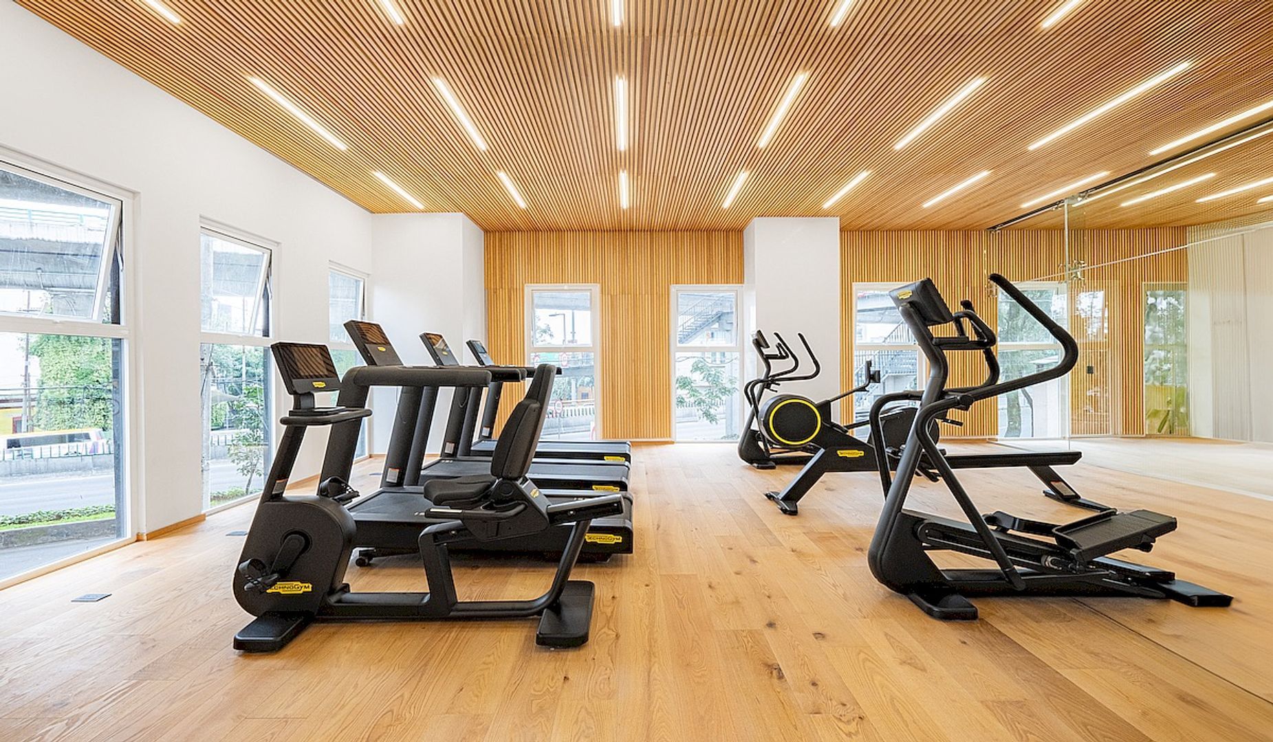 gimnasio2.jpeg