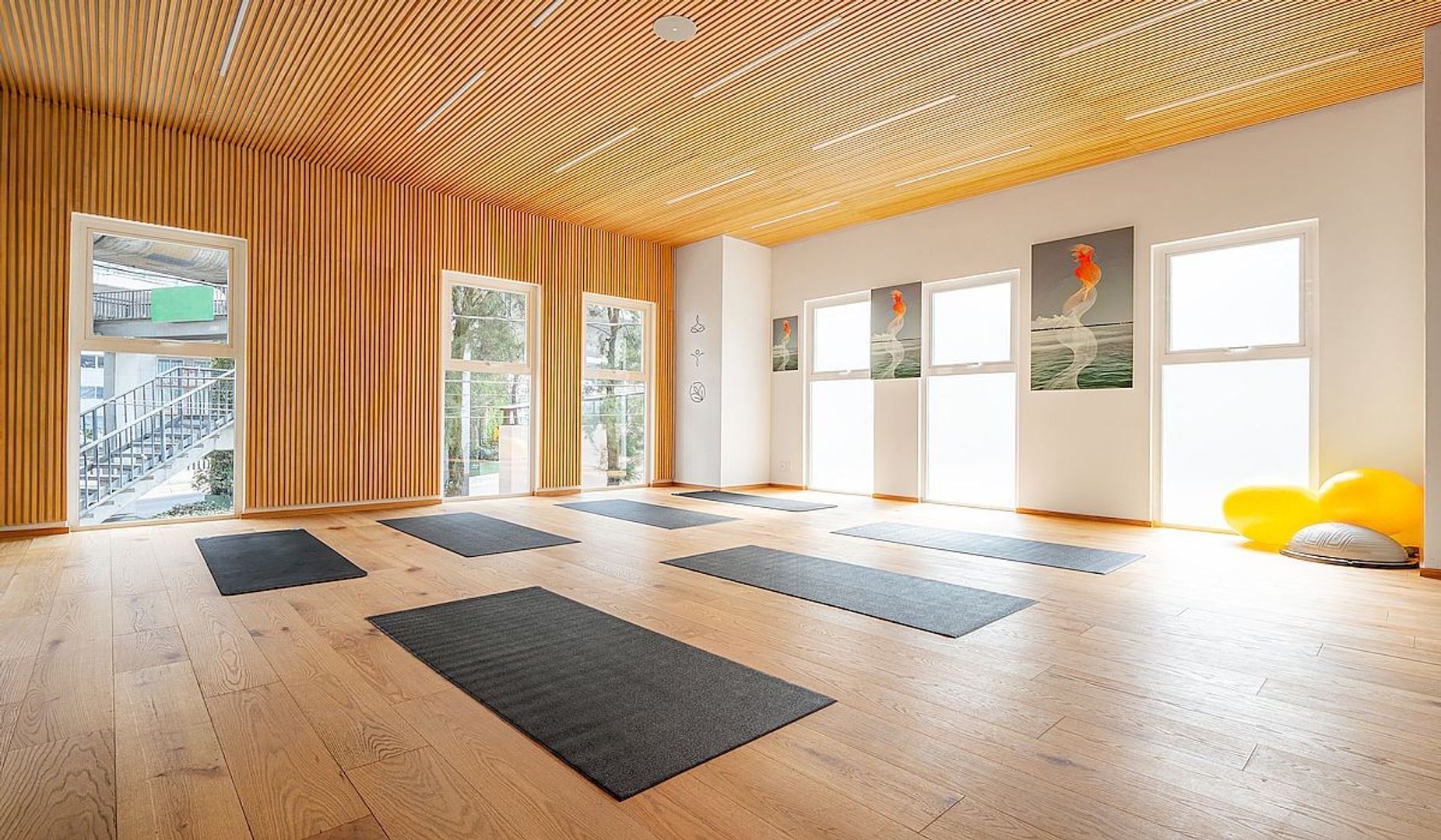 yoga.jpeg