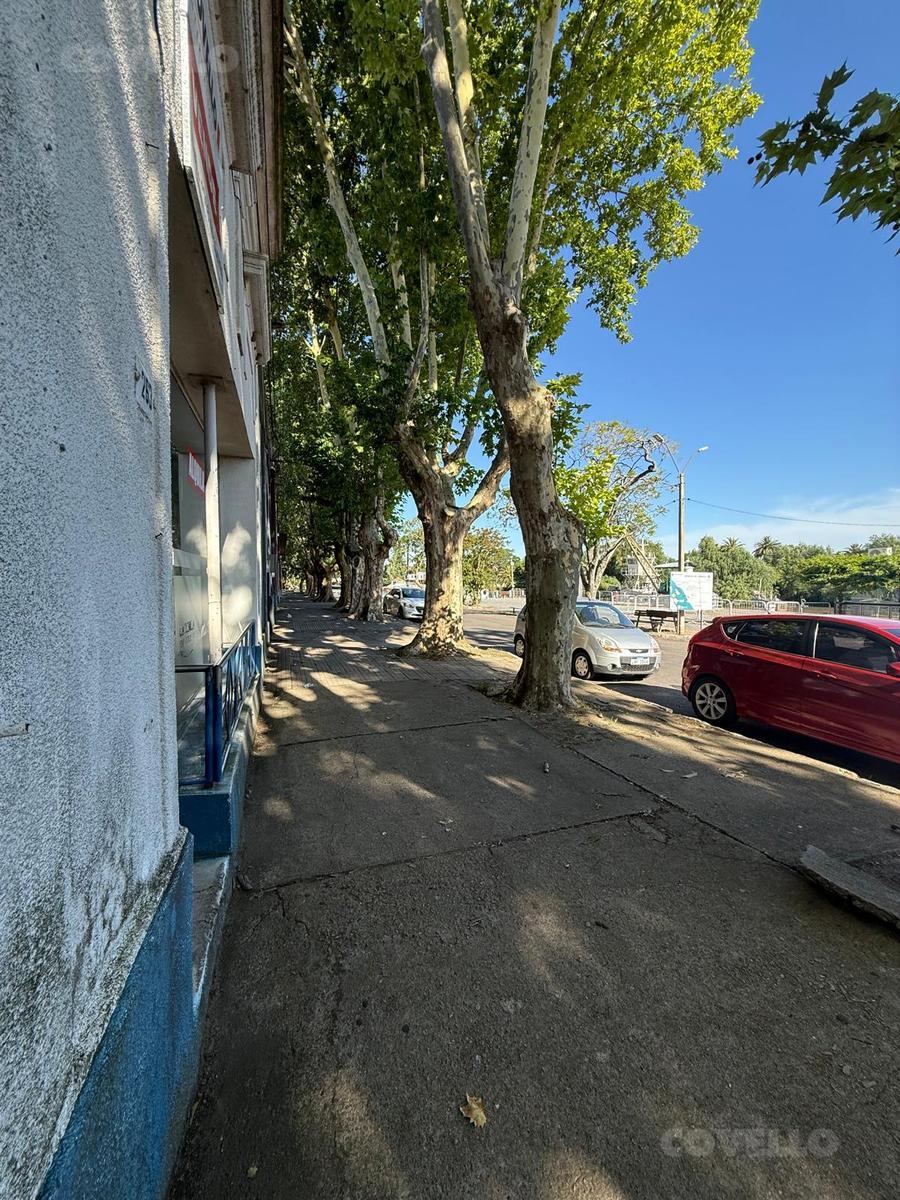 image 13