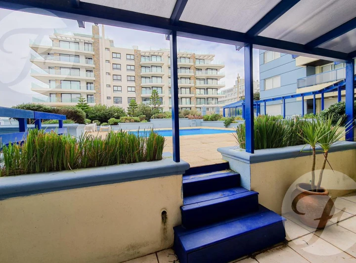 Punta del Este | Puerto Lobos