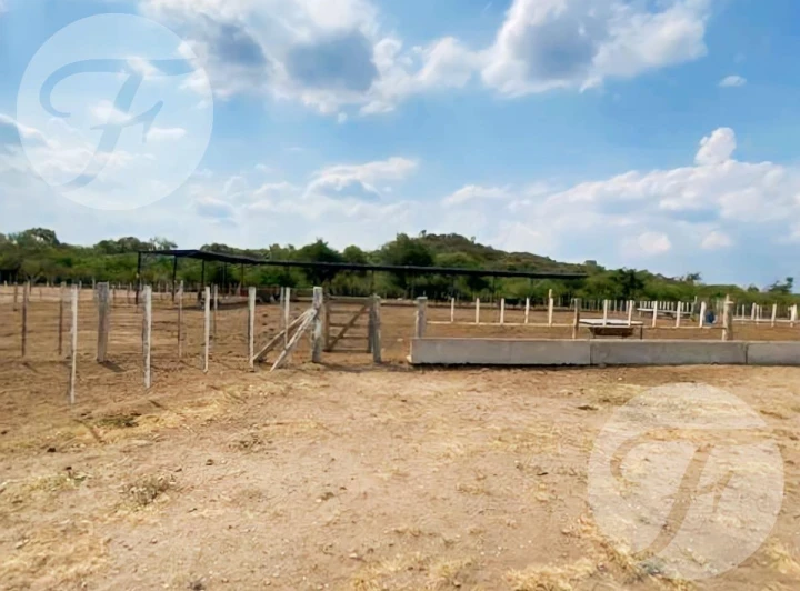 Venta en San Luis (Gral Roca) I Unidad económica con gran infraestructura I 99 hectáreas