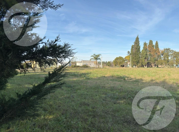 Venta de terreno en San Pedro - Lote de 800 m2 sobre Pavimento