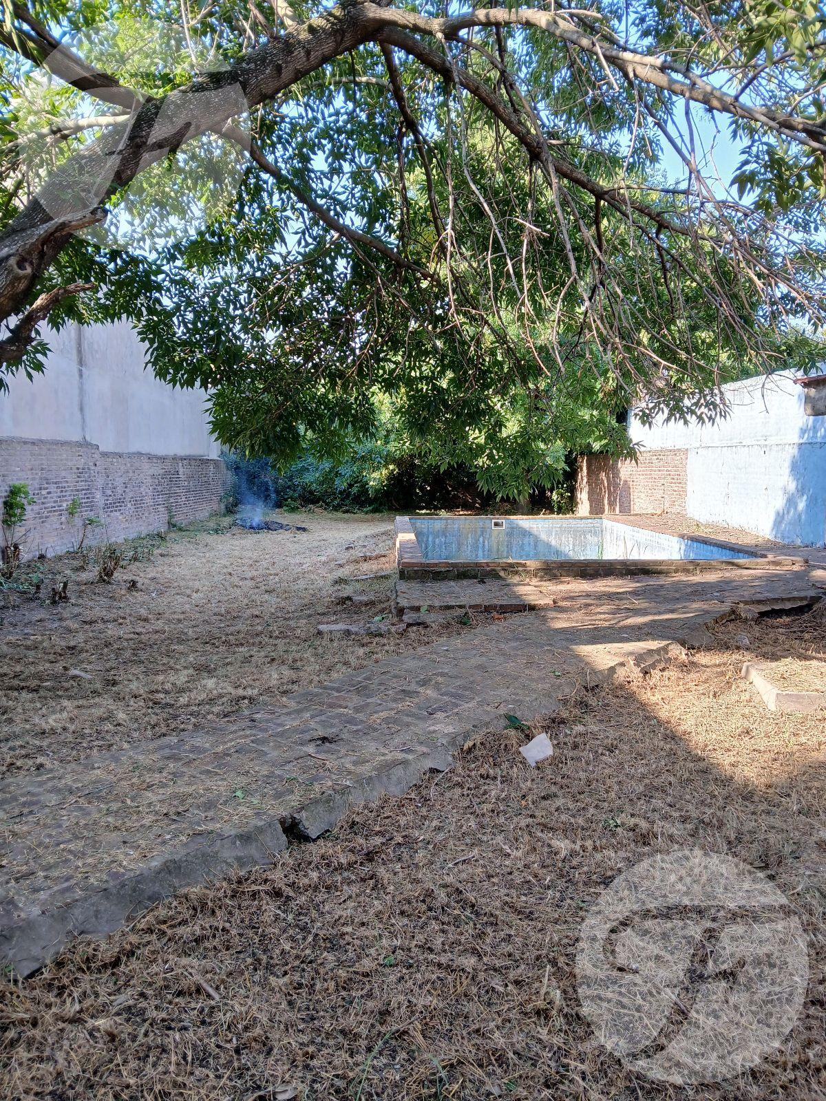 image 33