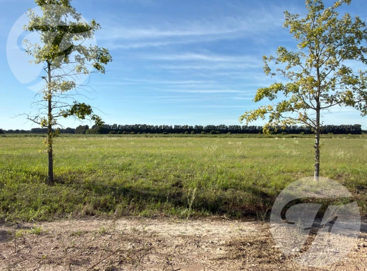 Venta de lote en Lago de Obligado San Pedro - Oportunidad de Inversión - Escritura Inmediata