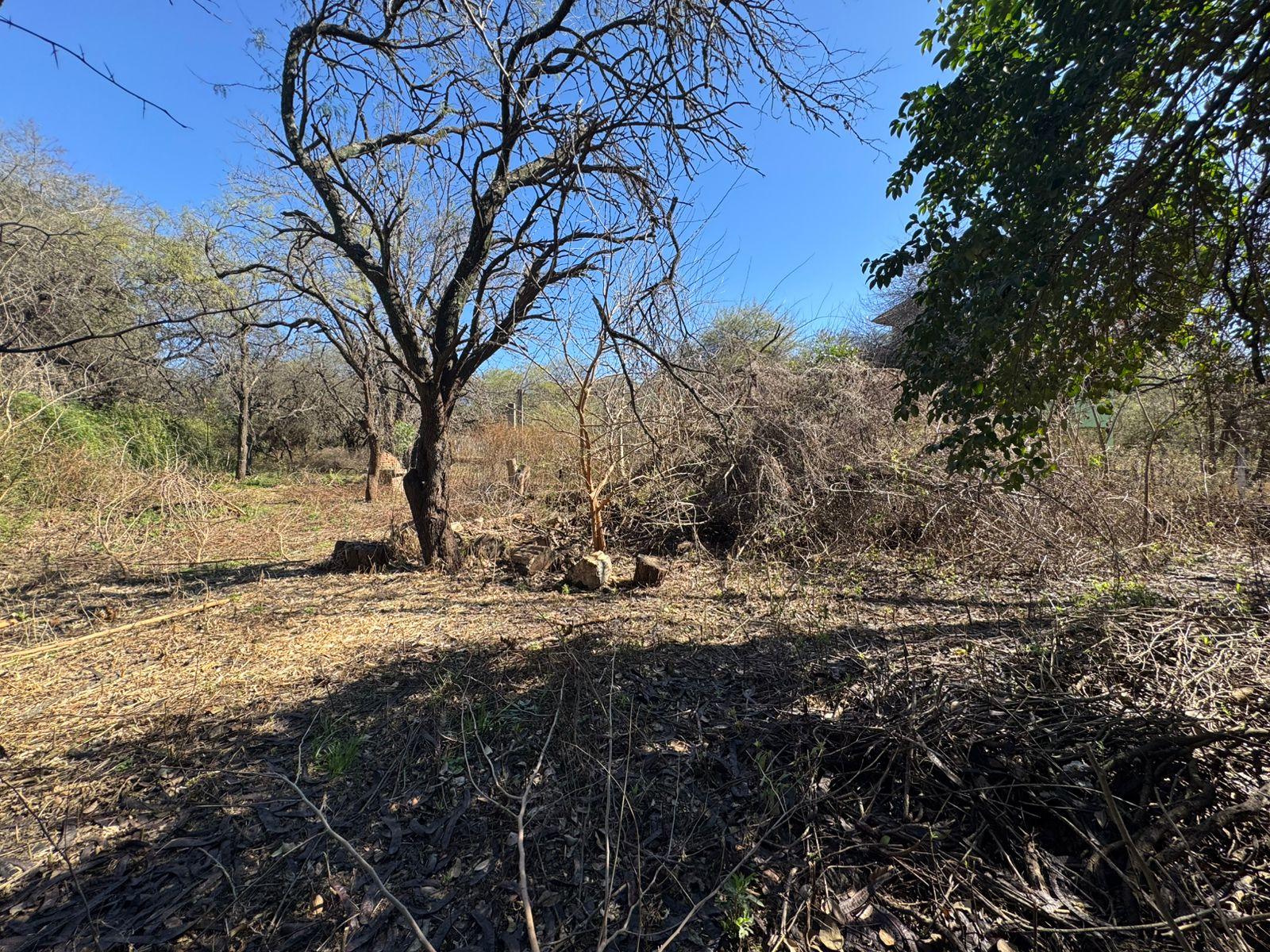 image 14
