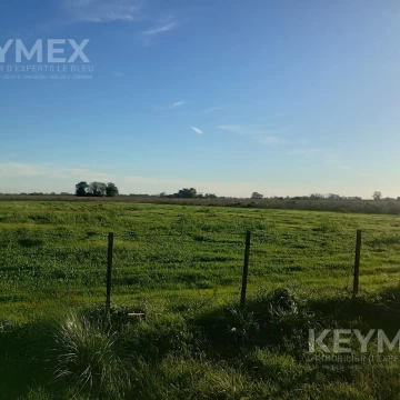 Lote Campo de 1 Hectarea  en Zona oeste Virrey del Pino