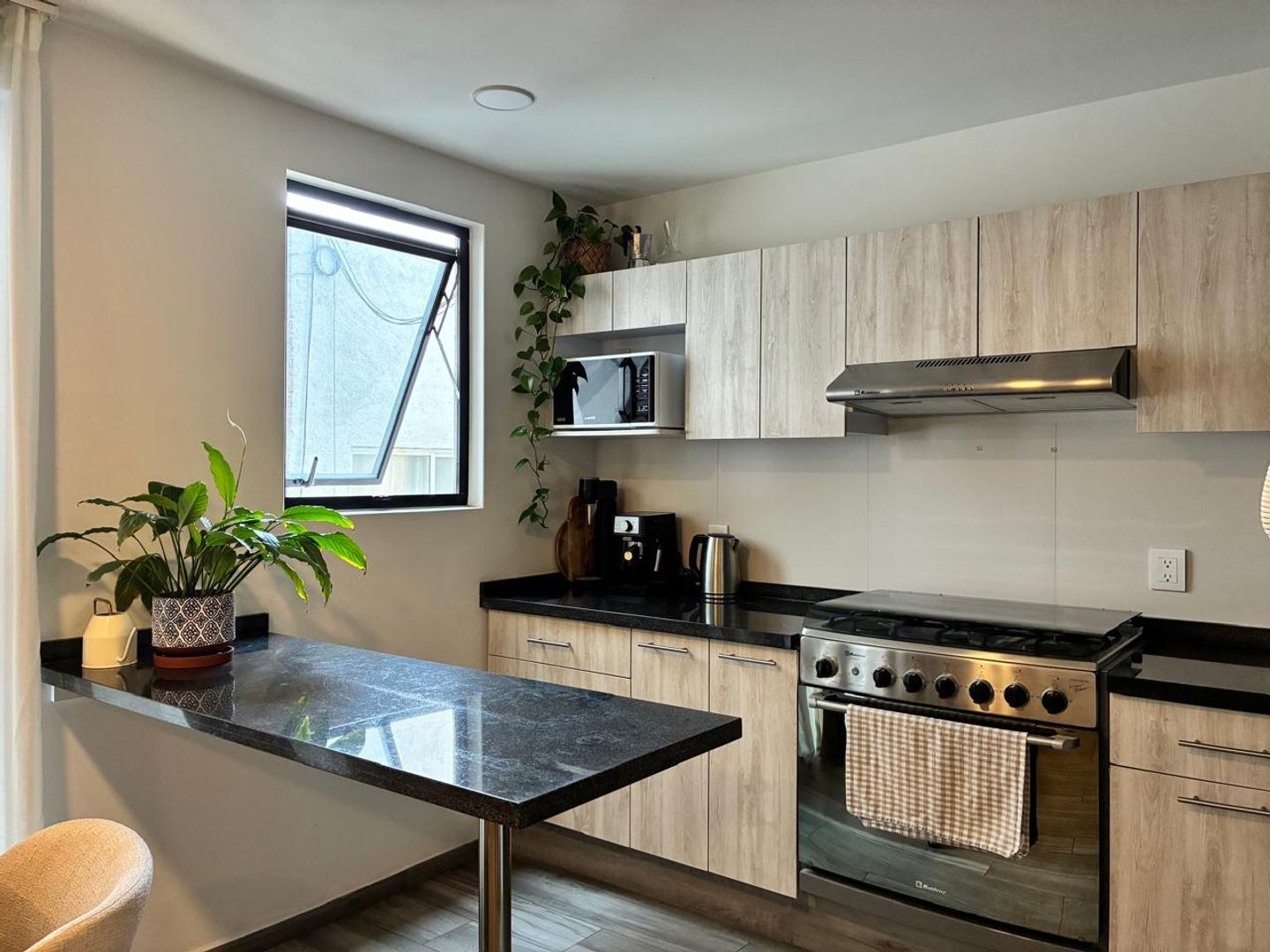 PHOTO-2026-03-11-14-25-42 5.jpg