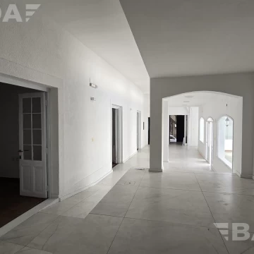 1773497172.jpg