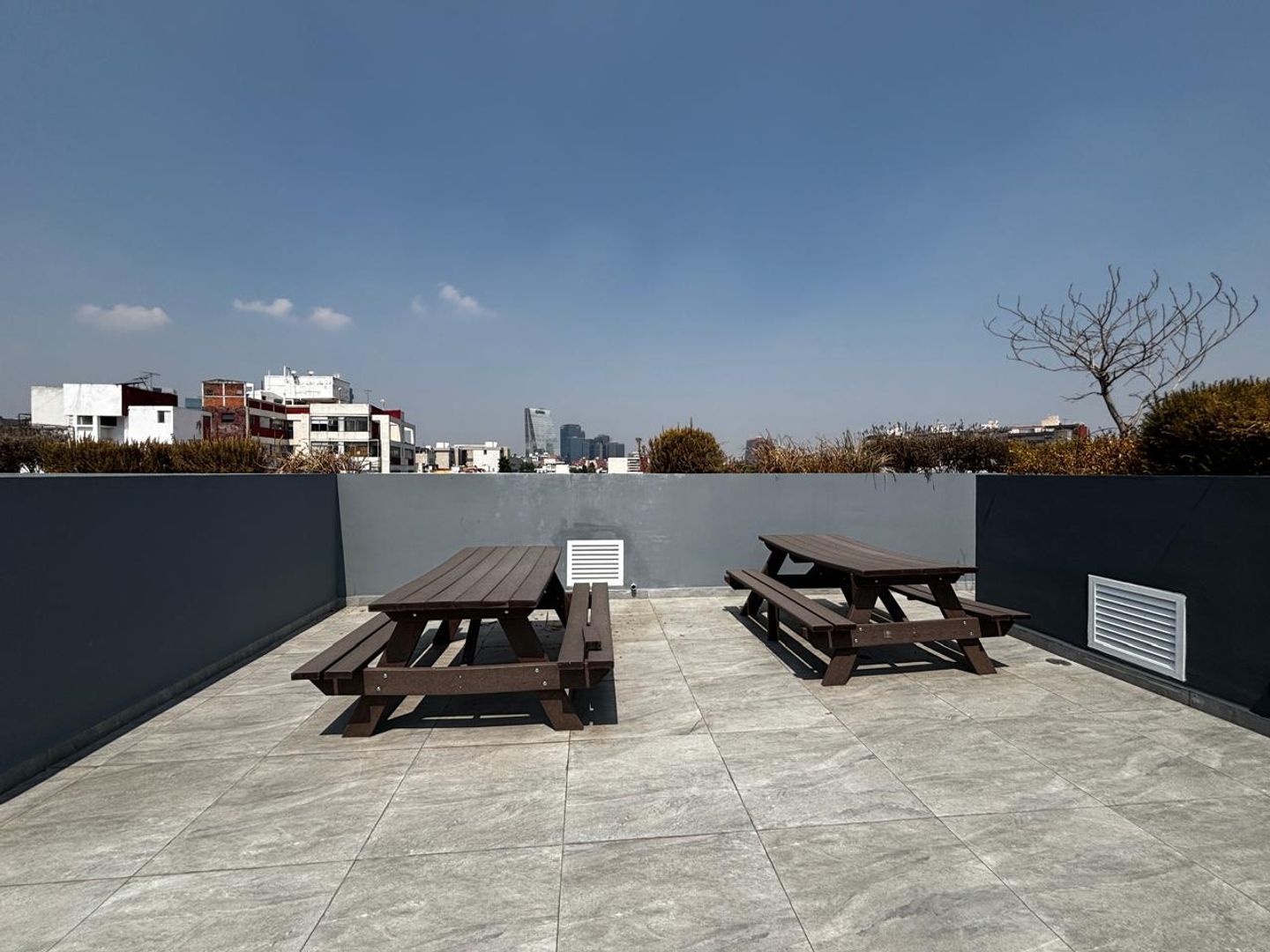 area roof.jpg