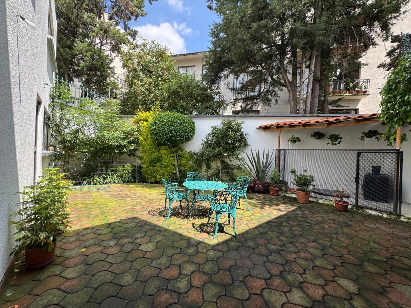 terraza.jpeg
