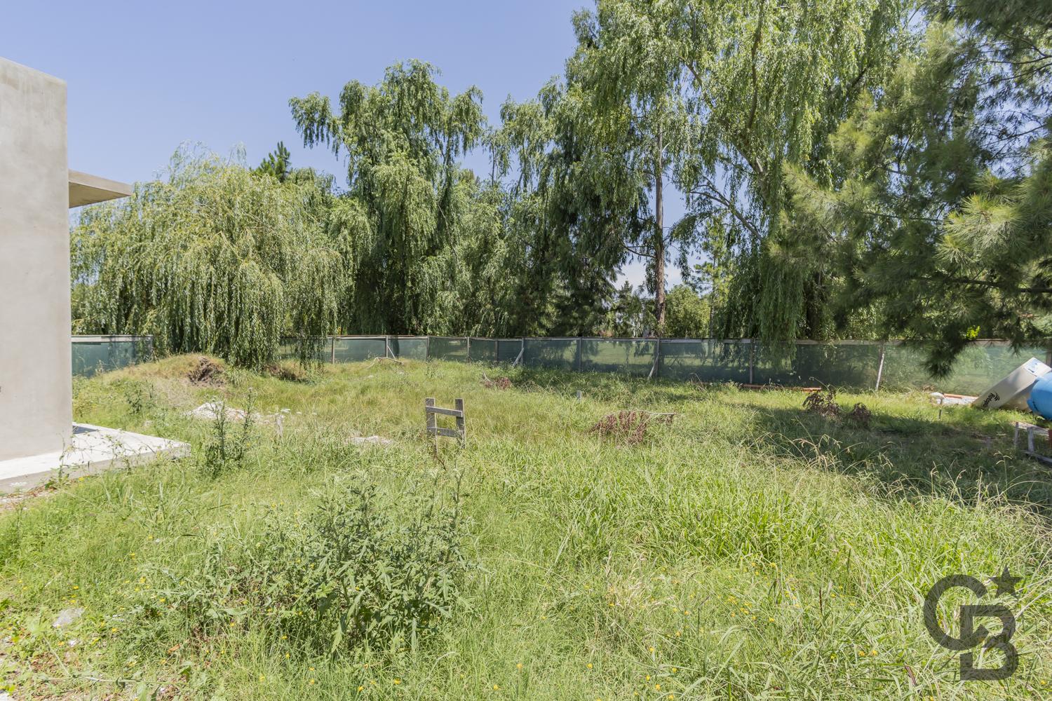 image 28