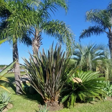 Terreno Venta en Rio / Arroyo San Antonio Isla Santa Monica 0