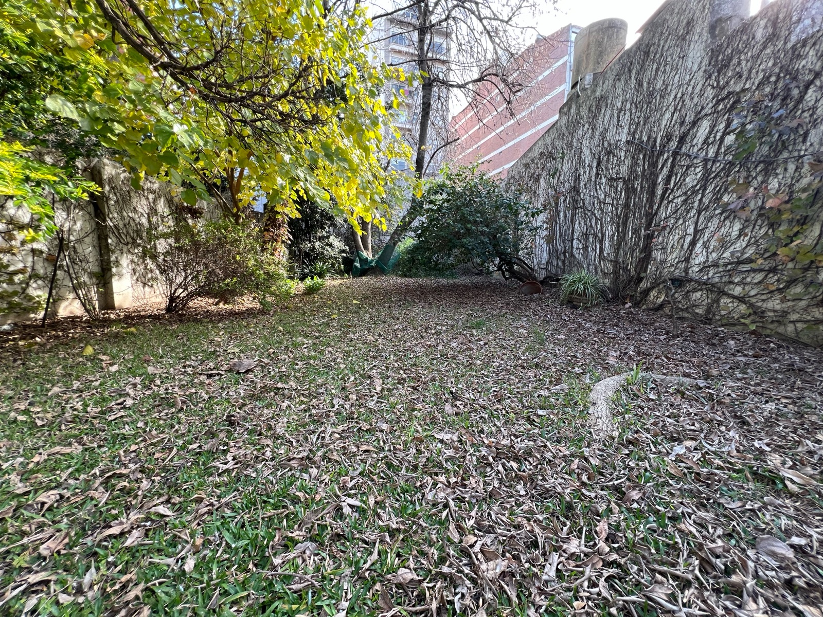 image 16