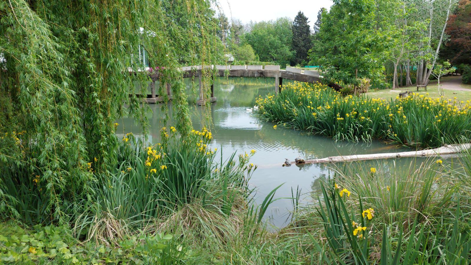 image 29