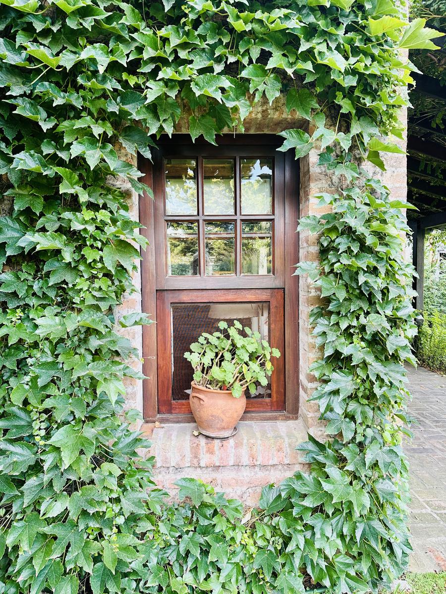 image 29