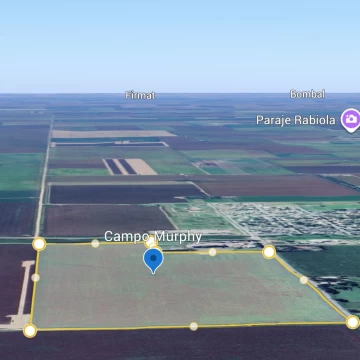 Campo 37 ha Agrícola Clase 1 – Ubicación Estratégica sobre Ruta