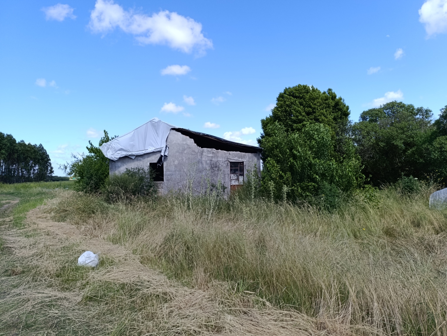 image 13