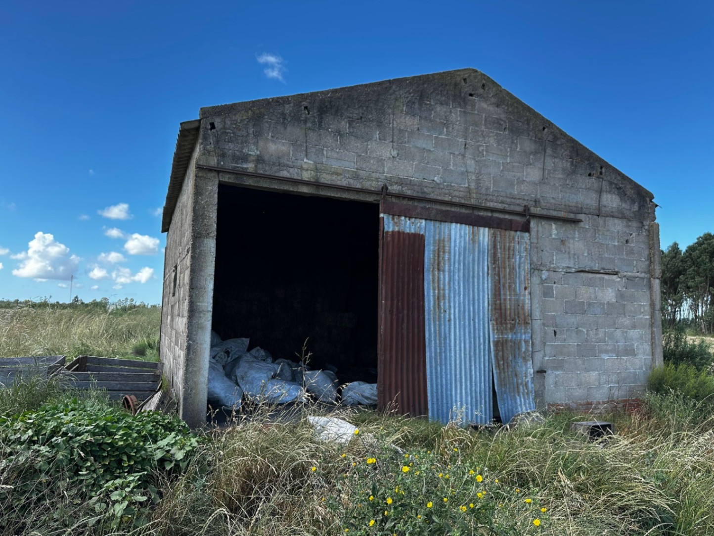 image 18