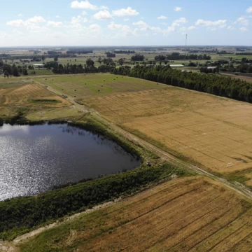 Campo en venta en Sauce con 25 Has