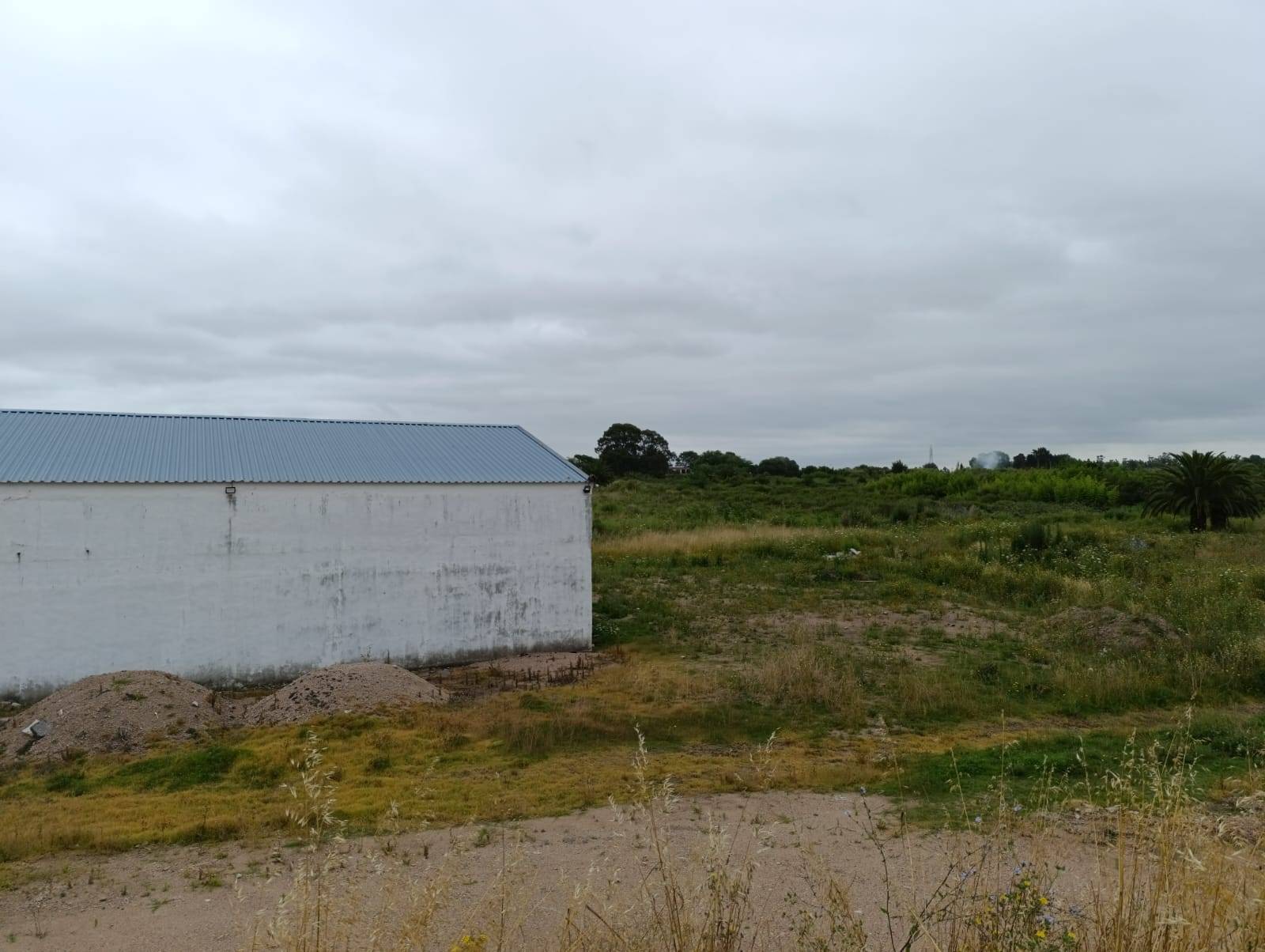 image 13