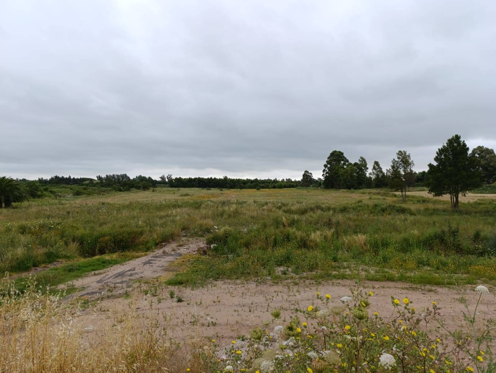 image 14
