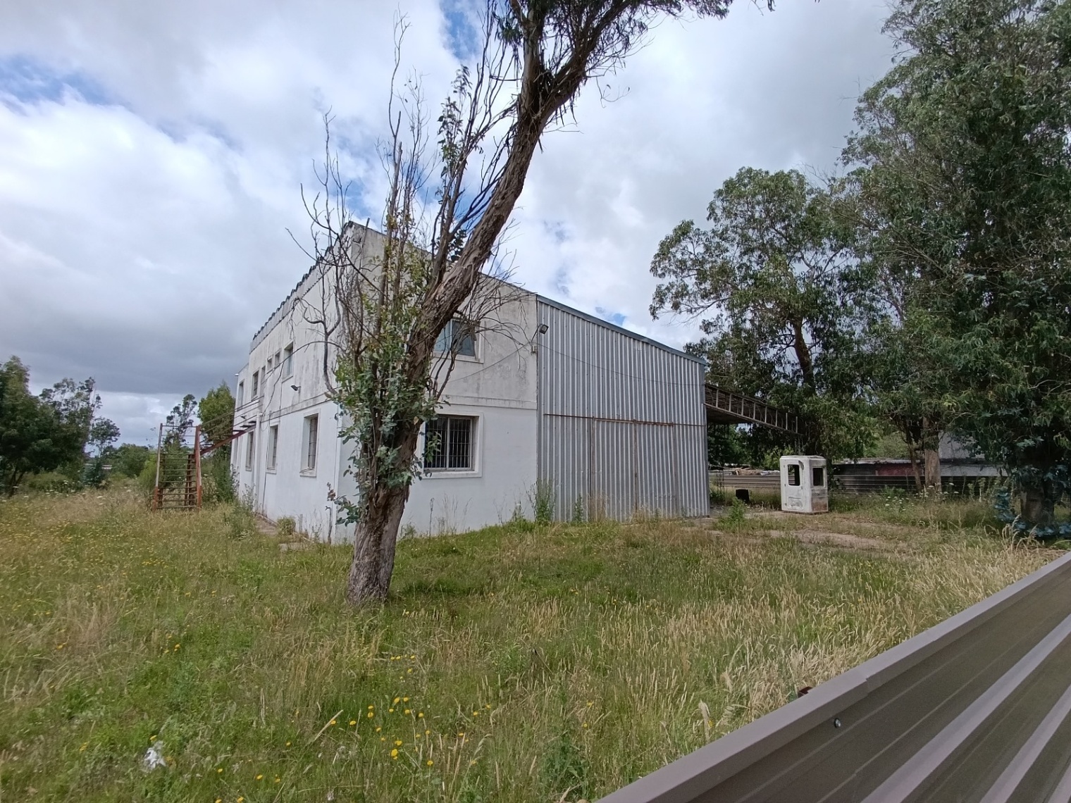 image 15