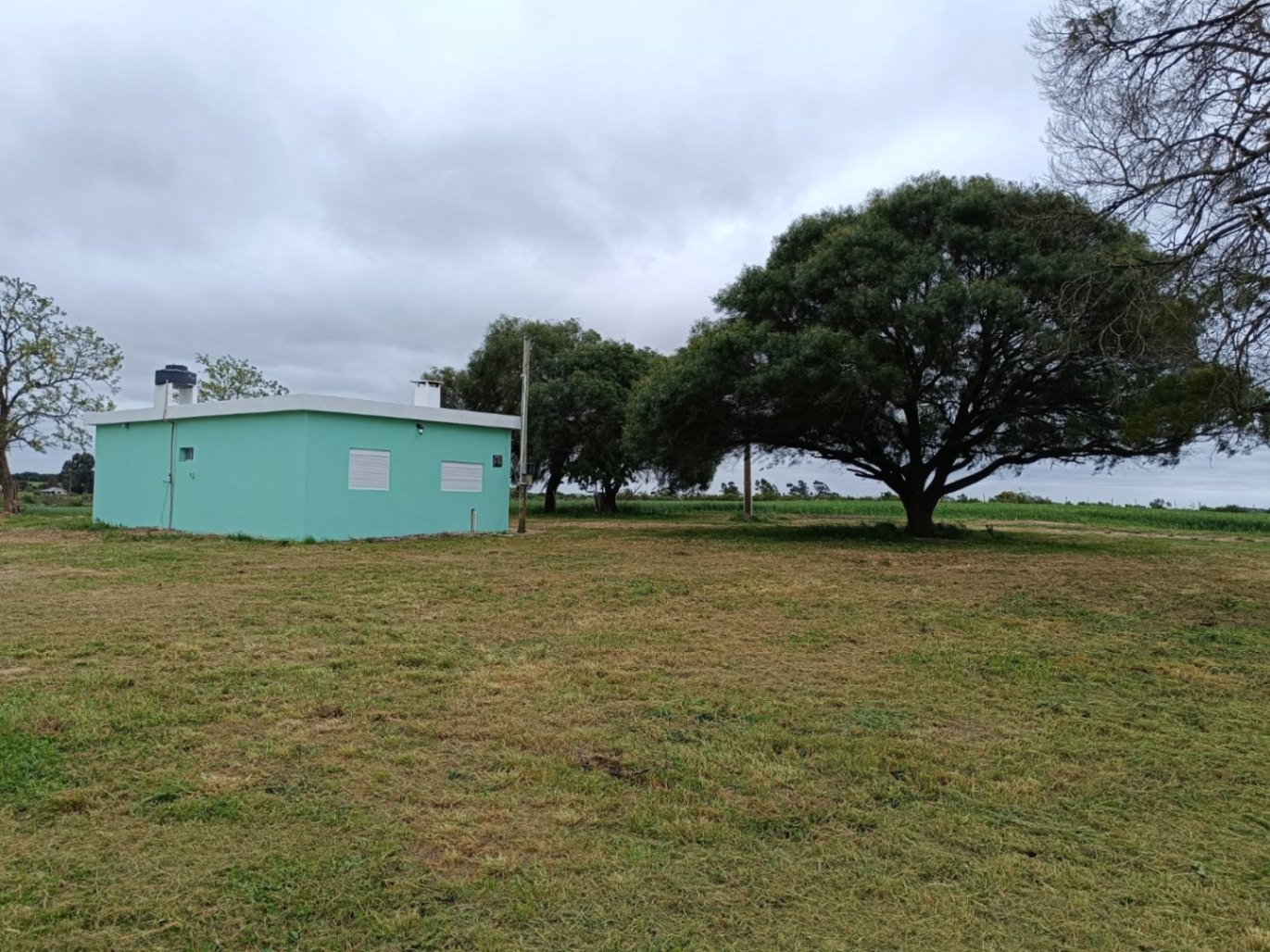 image 21
