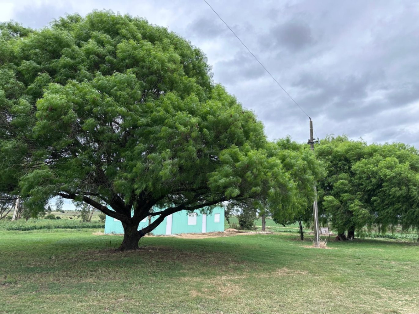 image 25