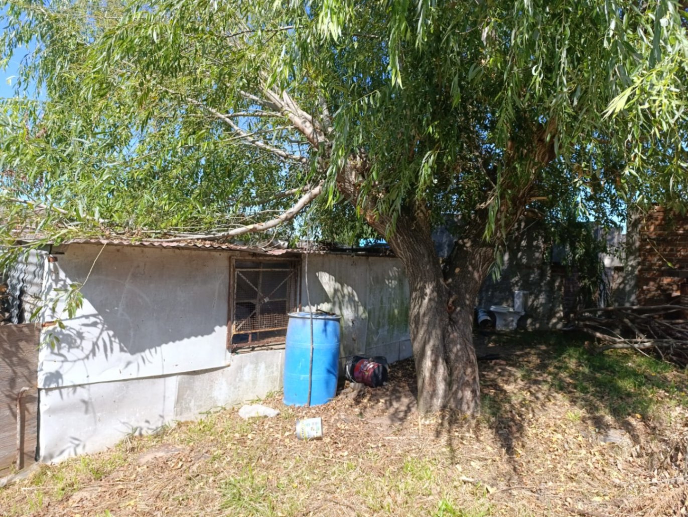 image 14