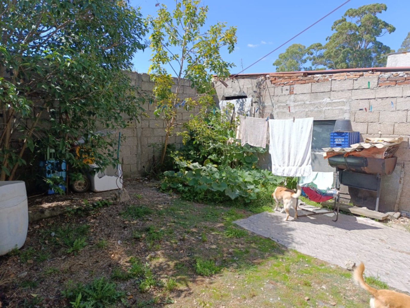 image 14