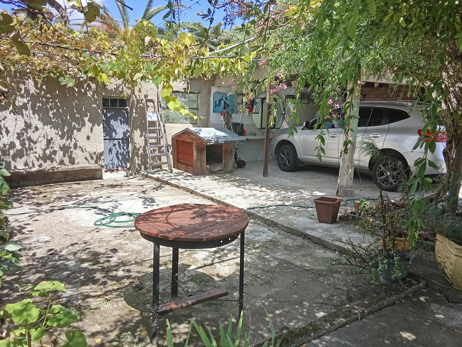 image 23