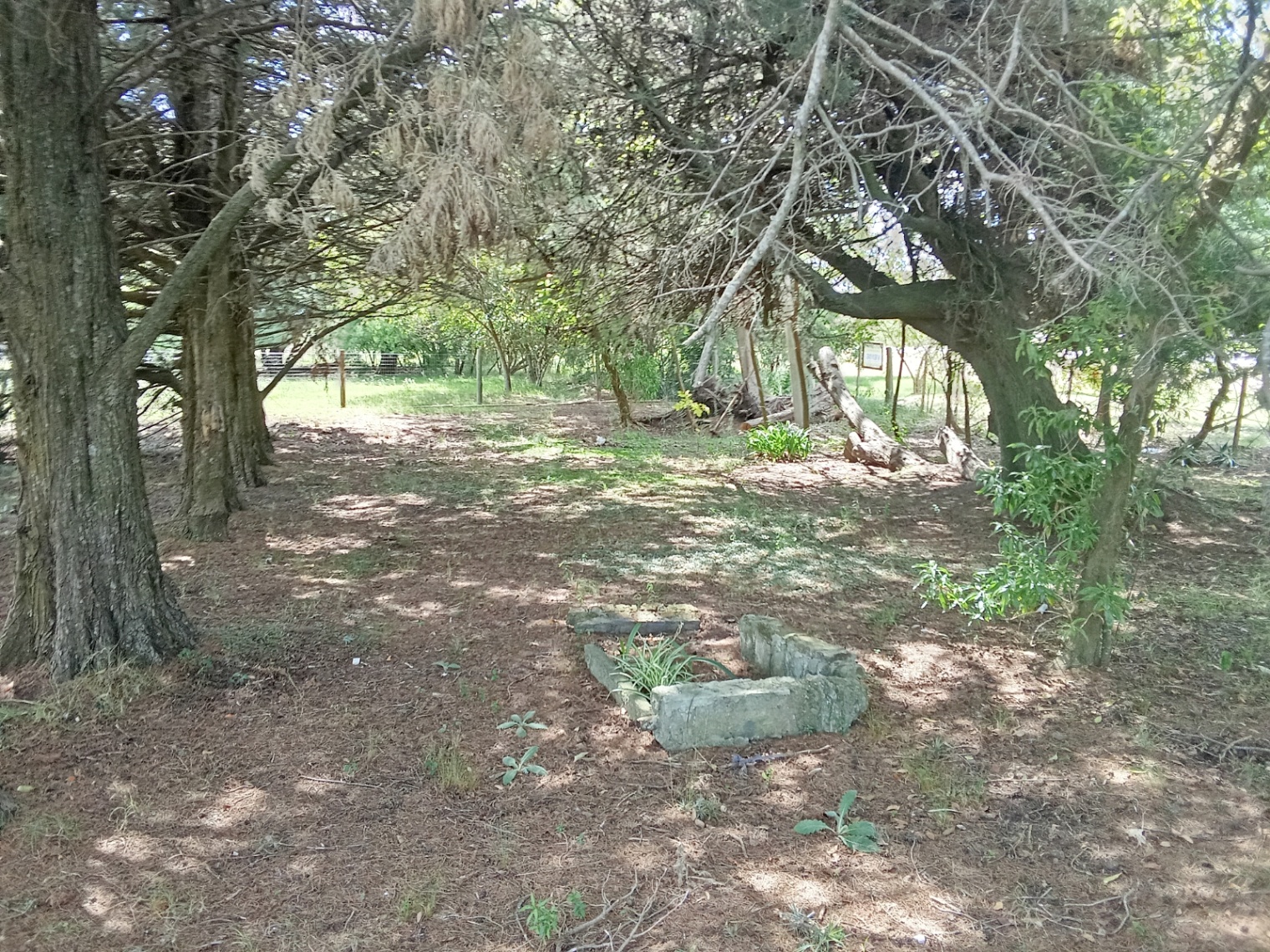 image 28