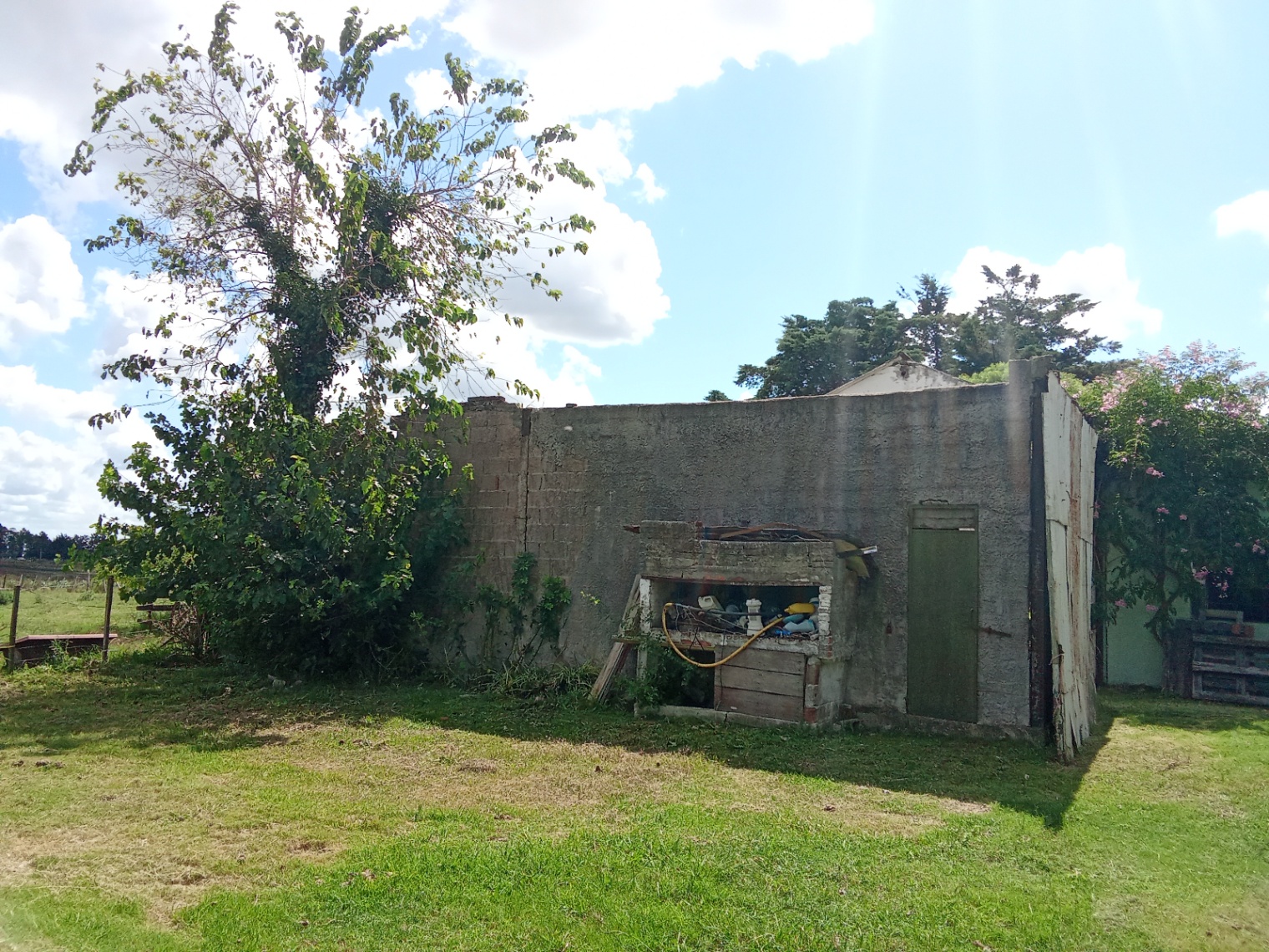 image 31