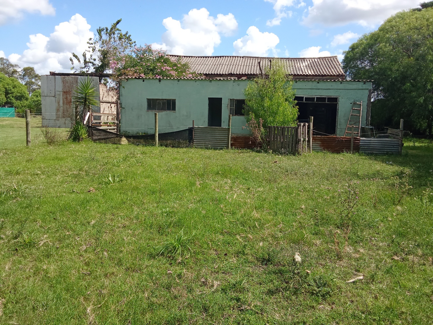 image 35
