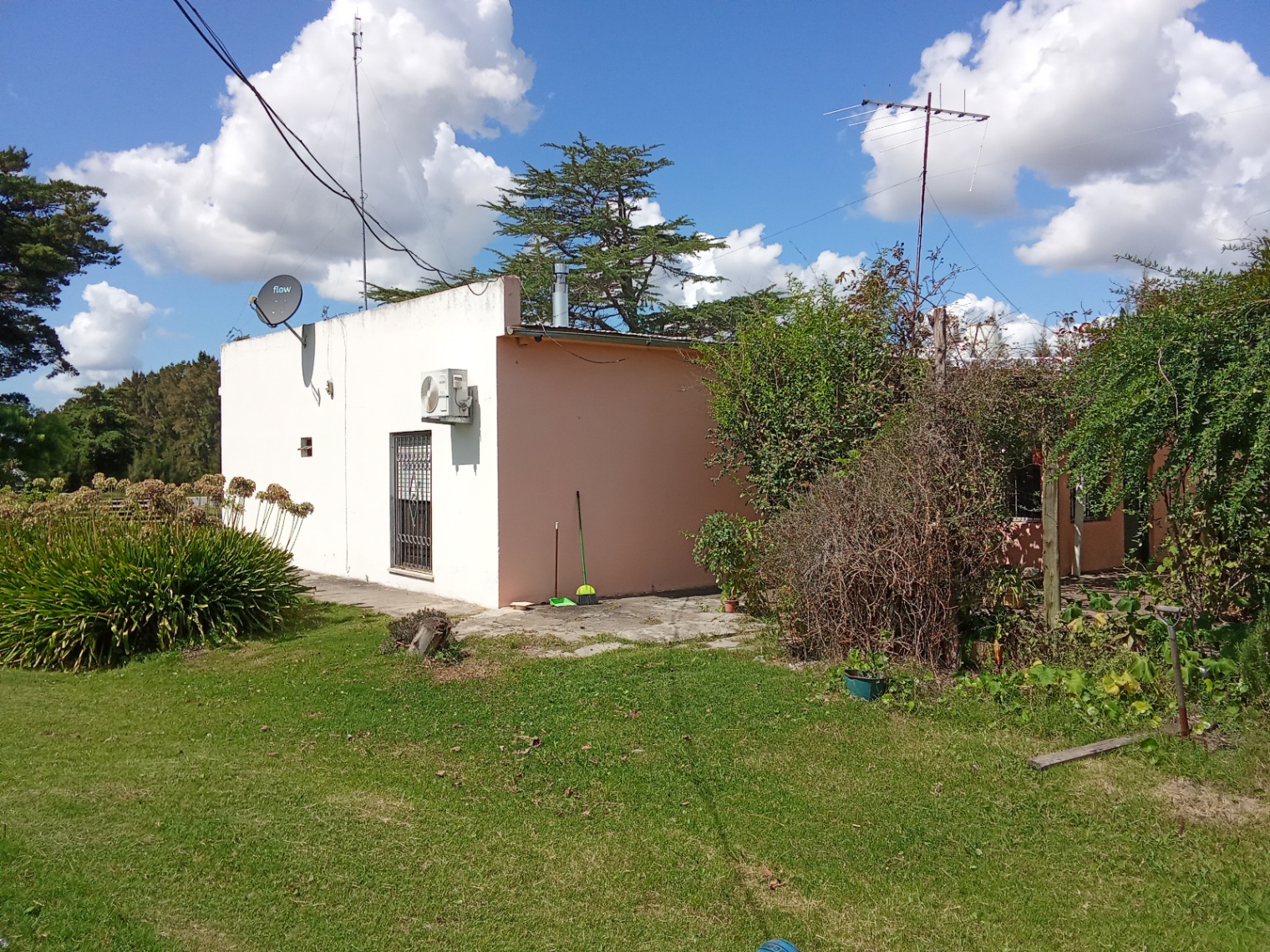 image 38