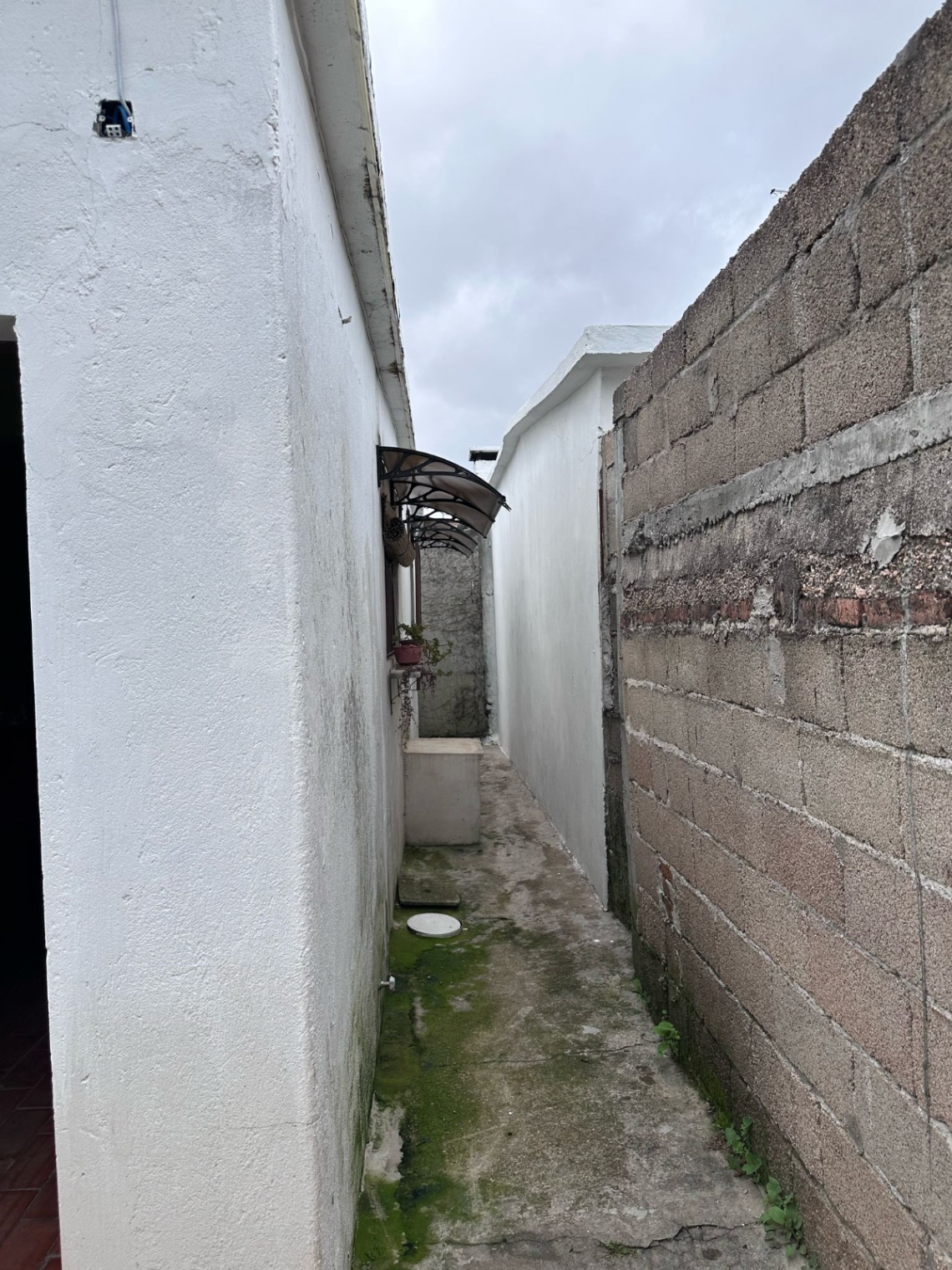 image 24
