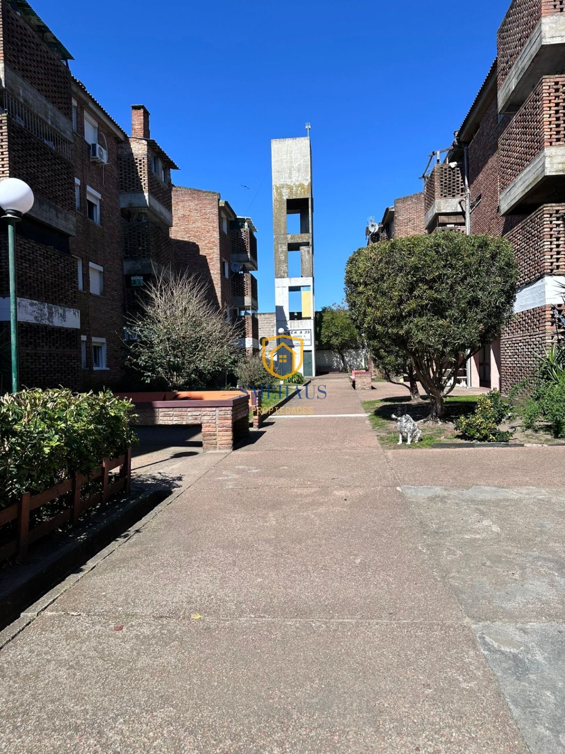 image 13