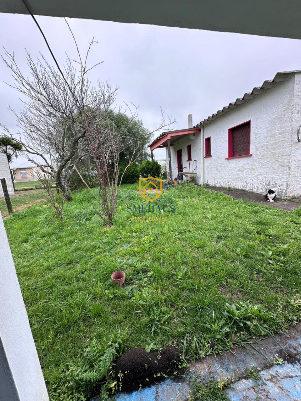image 13