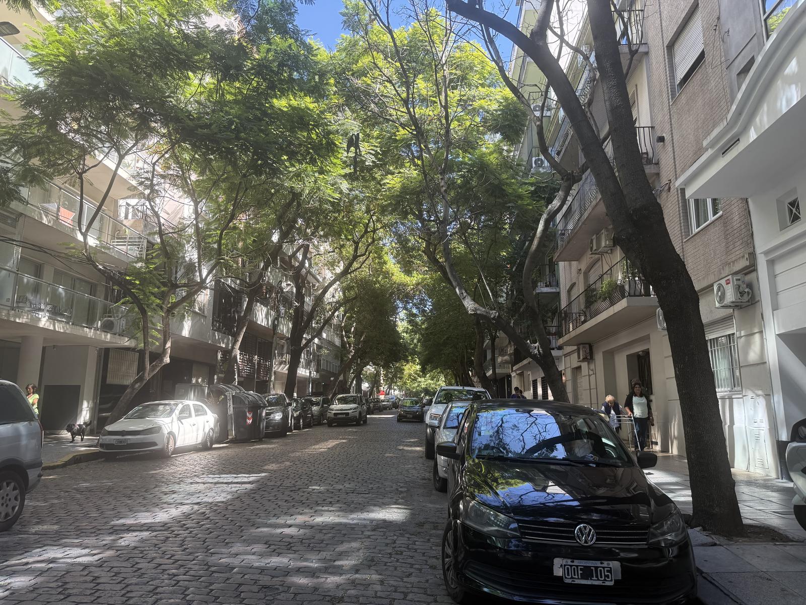 Zona arbolada