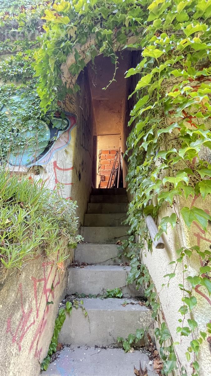 image 23