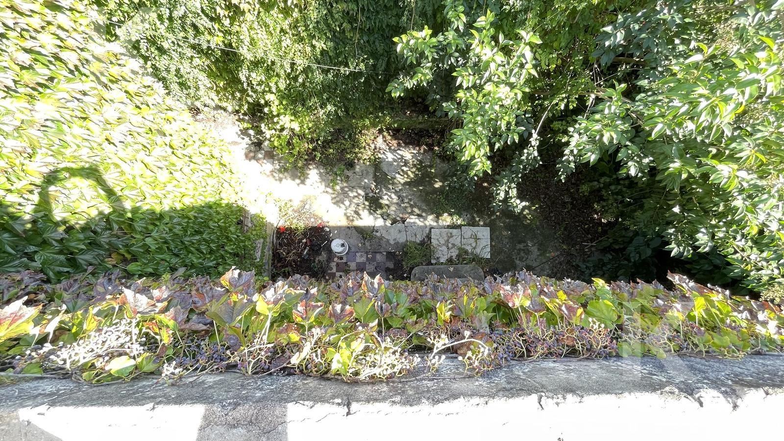 image 30
