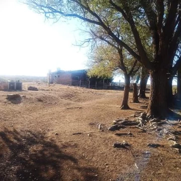 Campo 5.300 Has, Ganaderas, Los Menucos,  REGIÓN SUR LÍNEA PATAGÓNICA.