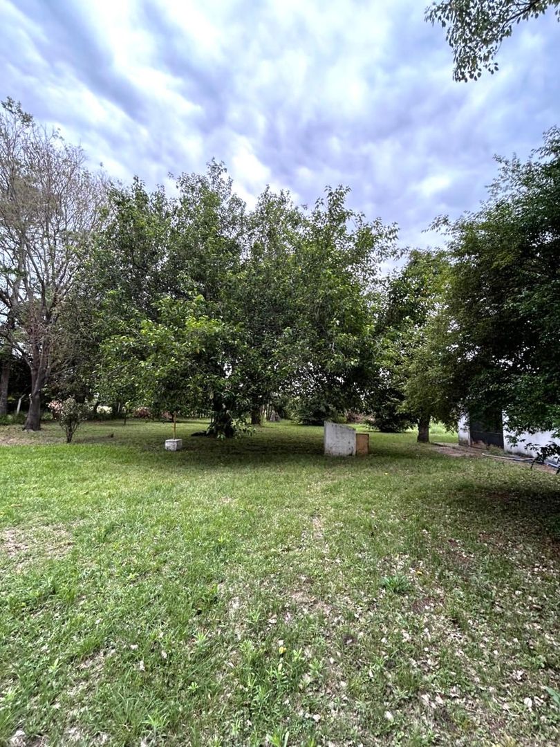 ESPACIO VERDE.jpg