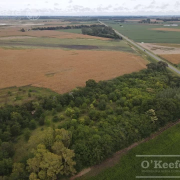 Chacra de 4 has en venta en Alberti